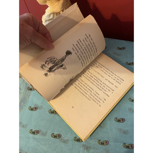 1978 Hardback “Help!” Yelled Maxwell By James & Edwina Stevenson - Picture 5 of 9